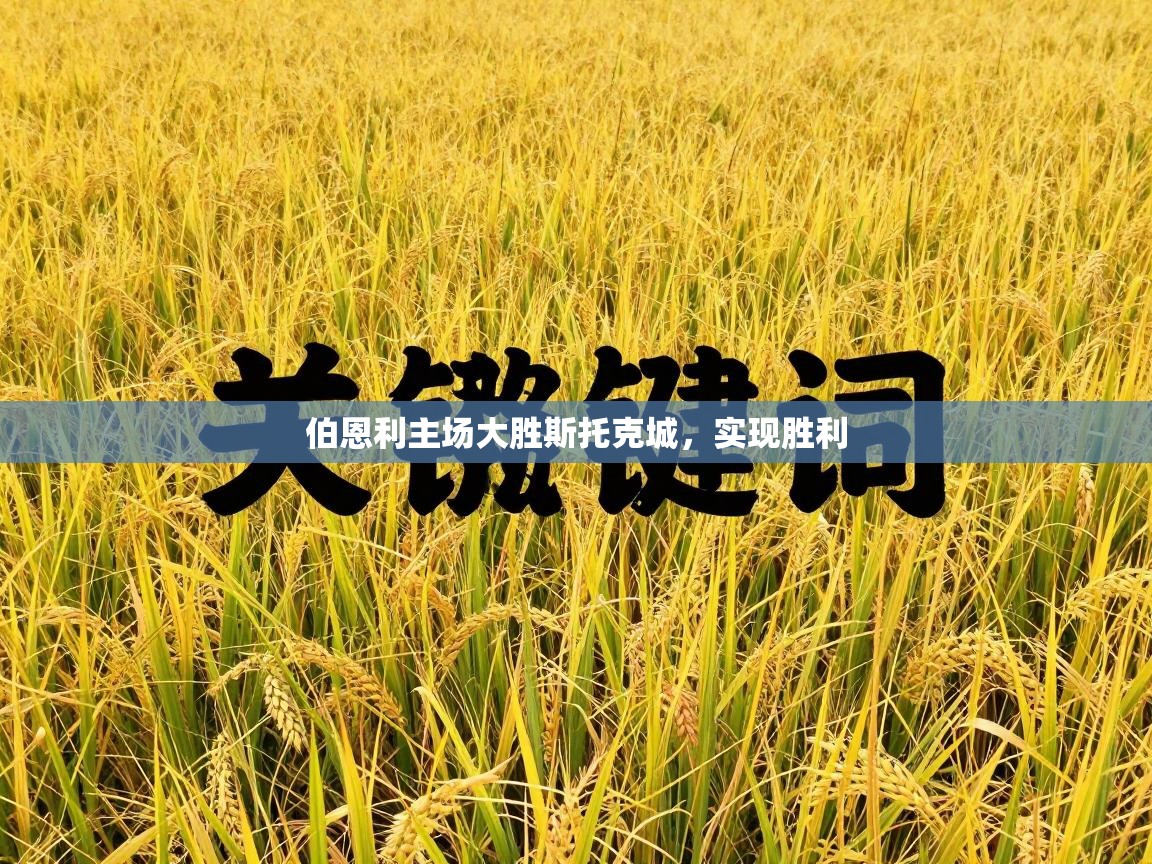 伯恩利主场大胜斯托克城，实现胜利  第2张