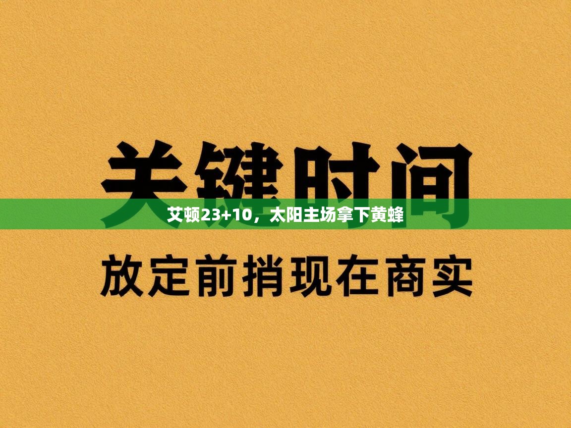 艾顿23+10，太阳主场拿下黄蜂  第2张