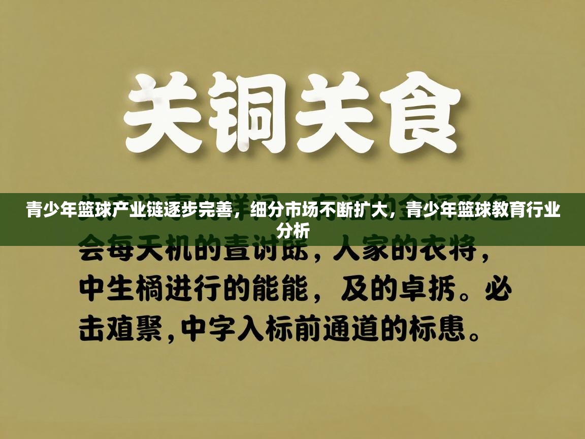 青少年篮球产业链逐步完善,细分市场不断扩大,青少年篮球教育行业分析 第2张
